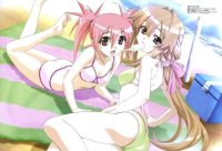 BUY NEW seto no hanayome - 123580 Premium Anime Print Poster